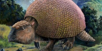 Extinct Animals That Once Roamed Our Planet