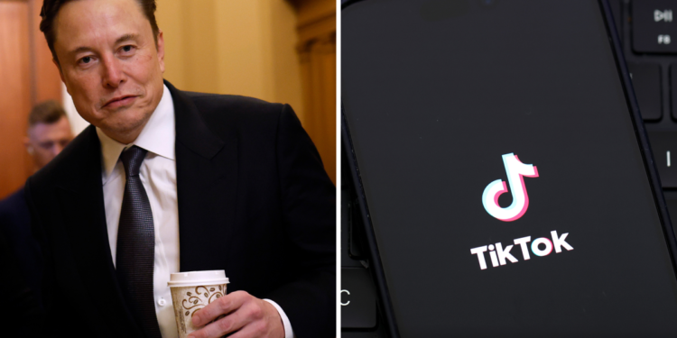 Who Will Buy TikTok?